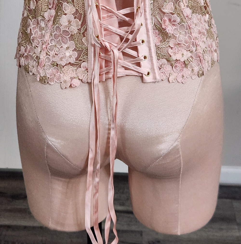 New!Victoria's Secret Atelier Enchanted Garden Corset - Picture 9 of 12
